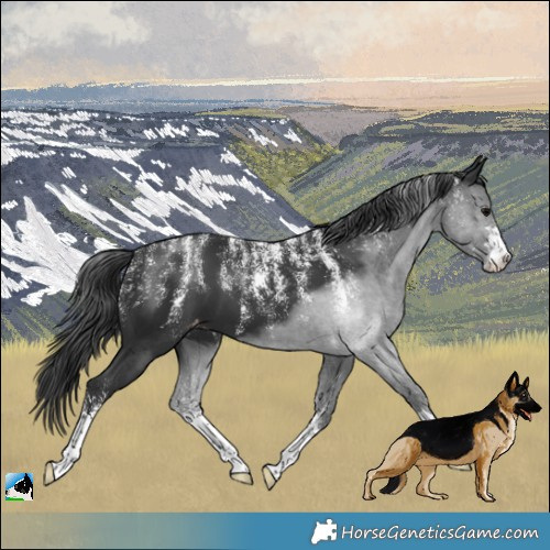 Horse Color:Powder White Black Varnish 