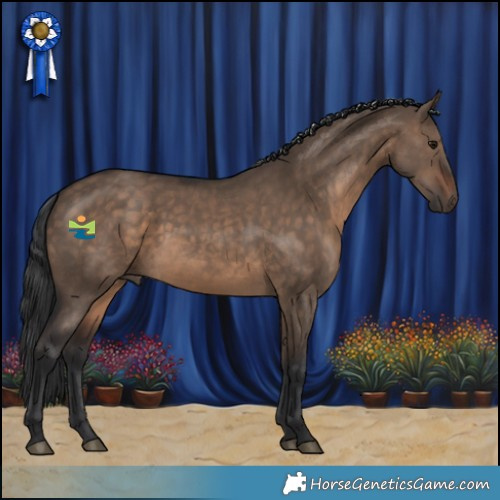 Horse Color:Brown Dun