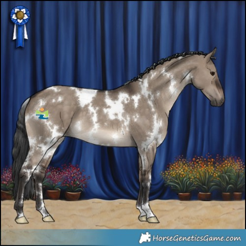Horse Color:White Spotted Brown Dun