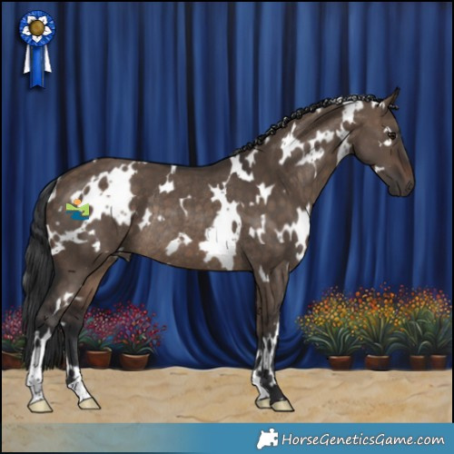 Horse Color:White Spotted Brown Dun Rabicano