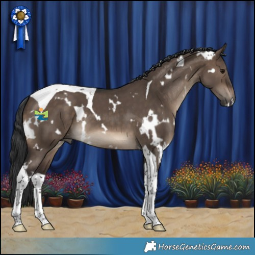 Horse Color:White Spotted Brown Dun Tobiano