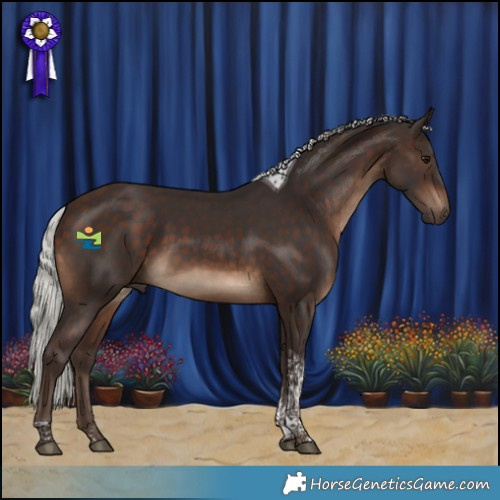 Horse Color:Silver Brown Tobiano 
