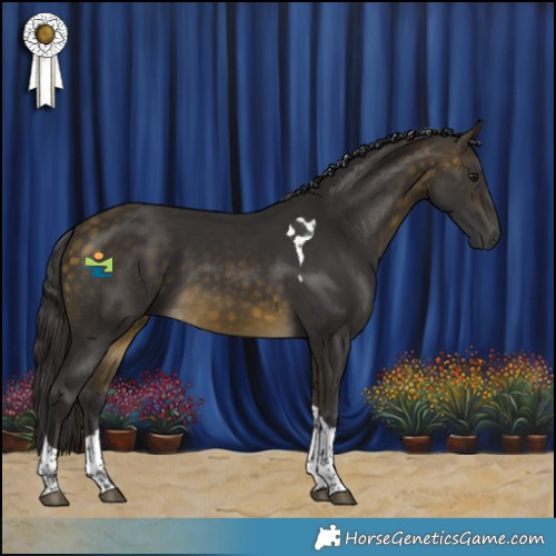 Horse Color:Buckskin Tobiano