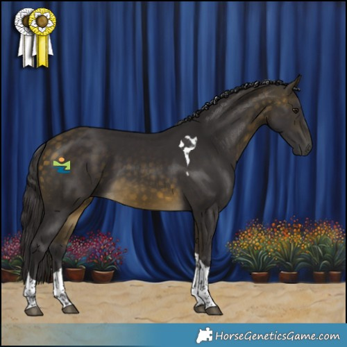 Horse Color:Buckskin Tobiano 