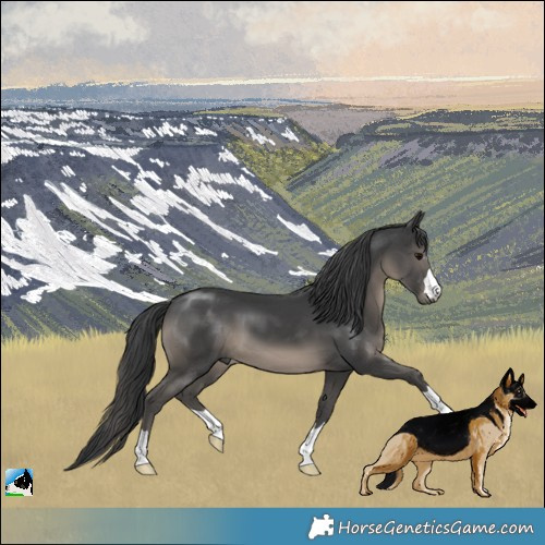 Horse Color:Black Mushroom 