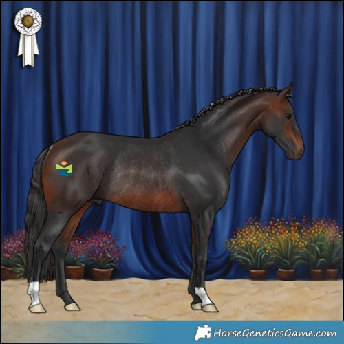 Horse Color:Brown Rabicano