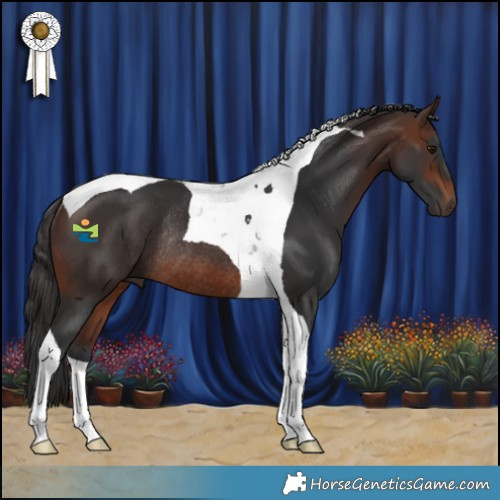 Horse Color:Brown Tobiano Rabicano