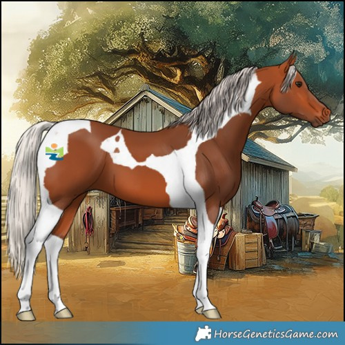 Horse Color:Silver Bay Tobiano 