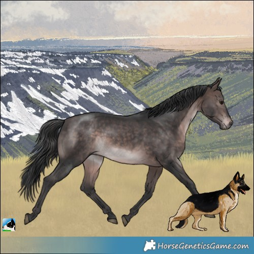 Horse Color:Platinum Brown Rabicano 