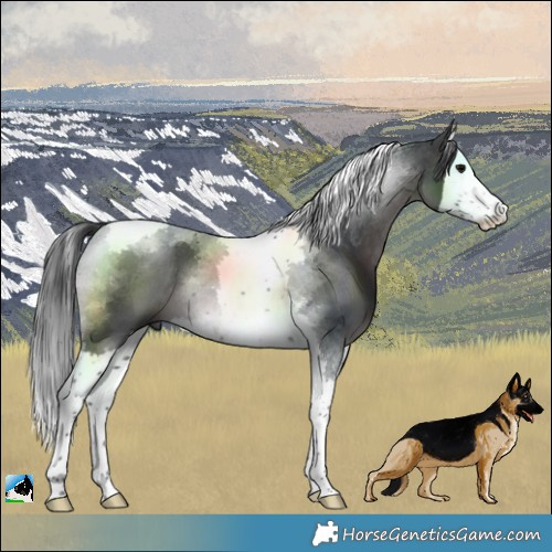 Horse Color:Platinum Brown Splash Tobiano 