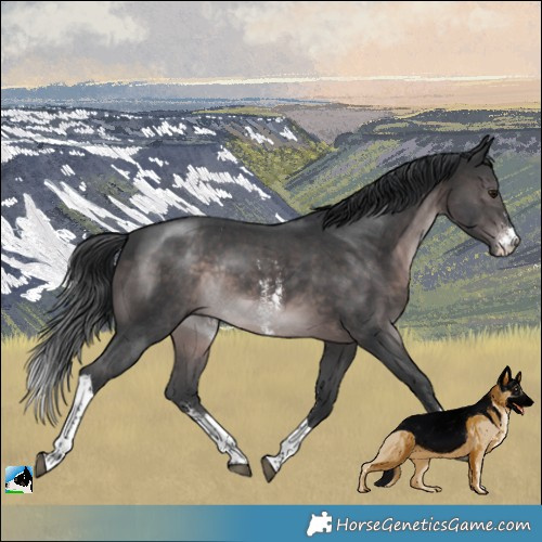 Horse Color:Platinum Brown Mushroom Sabino Tobiano Rabicano 