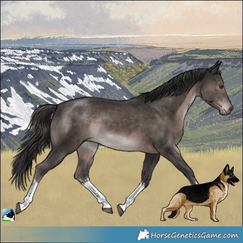 Horse Color:Platinum White Spotted Liver Chestnut Rabicano 