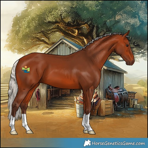 Horse Color:Silver Bay