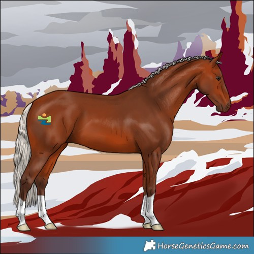 Horse Color:Silver Bay 