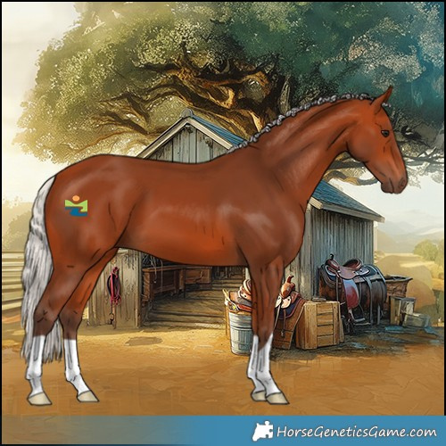 Horse Color:Silver Bay