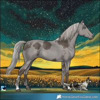 Horse Color:Silver Black Merle