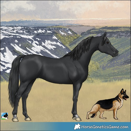 Horse Color:Black Mushroom