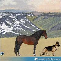 Horse Color:Brown Rabicano
