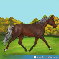 Horse Color:Silver Brown 