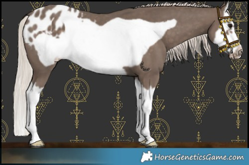 Horse Color:Silver Black Splash Frame Blanket 