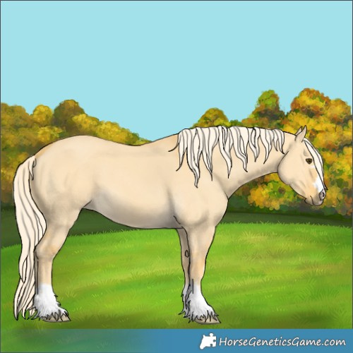 Horse Color:Palomino Dun 