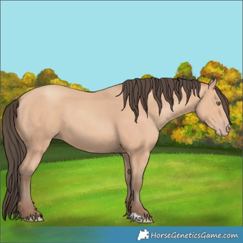 Horse Color:Amber Champagne 