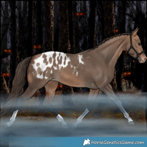 Horse Color:Bay Dun Tobiano Appaloosa Rabicano