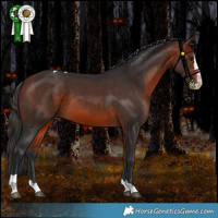 Horse Color:Bay Splash Tobiano Rabicano