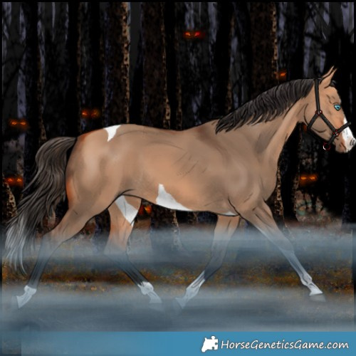 Horse Color:Bay Dun Splash Tobiano Rabicano 
