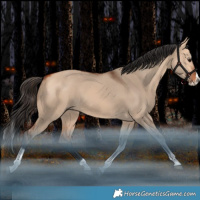 Horse Color:Bay Dun Splash Tobiano Rabicano