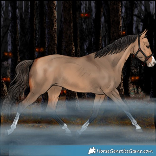 Horse Color:Bay Dun Splash Tobiano Rabicano