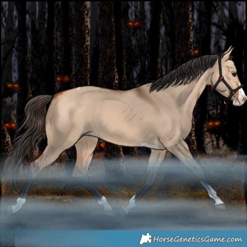 Horse Color:Bay Dun Splash Tobiano Rabicano 