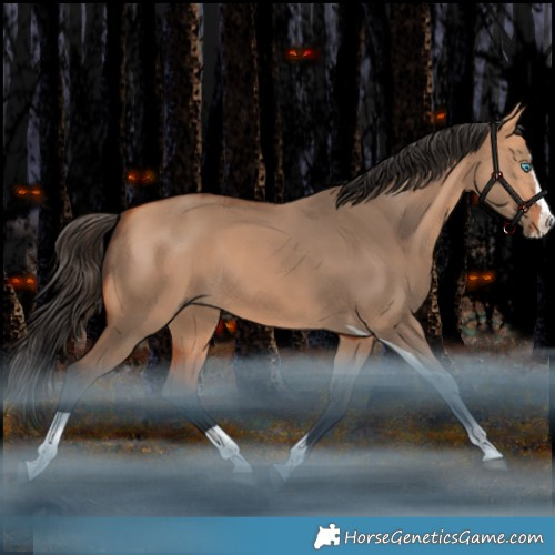 Horse Color:Bay Dun Splash Tobiano Rabicano 