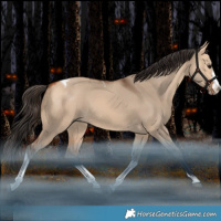 Horse Color:Bay Dun Splash Tobiano Rabicano 