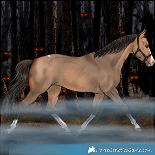 Horse Color:Bay Dun Splash Tobiano Rabicano 