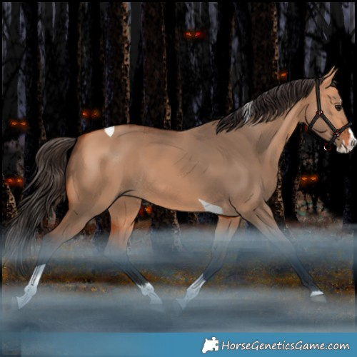 Horse Color:Bay Dun Splash Tobiano Rabicano 