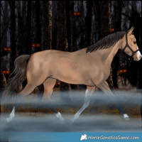 Horse Color:Bay Dun Splash Tobiano Rabicano