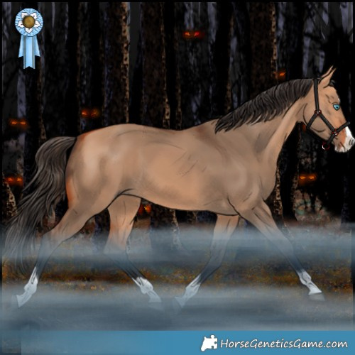 Horse Color:Bay Dun Splash Tobiano Rabicano