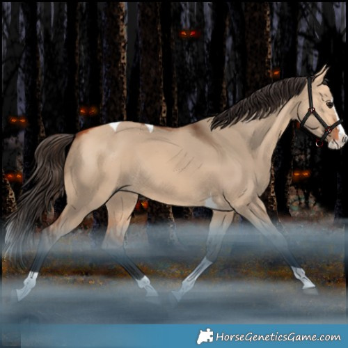 Horse Color:Bay Dun Splash Tobiano Rabicano 