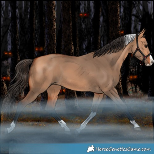 Horse Color:Bay Dun Splash Tobiano Rabicano 