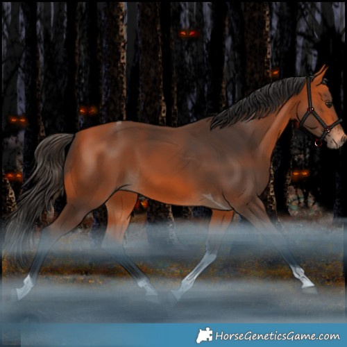 Horse Color:Bay Tobiano Rabicano 