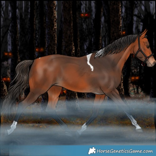 Horse Color:Bay Tobiano Rabicano