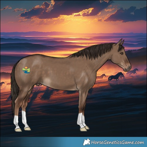 Horse Color:Liver Red Dun 