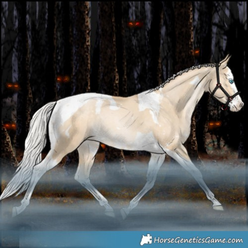 Horse Color:White Spotted Silver Bay Snowdrop Pearl Dun Splash Tobiano Rabicano