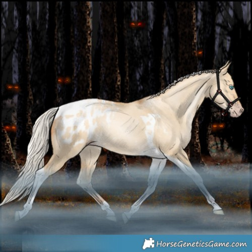 Horse Color:Gray Silver Amber Champagne Snowdrop Dun Tobiano Appaloosa 