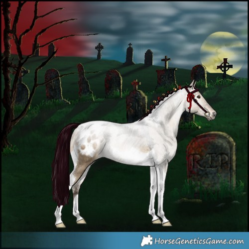 Horse Color:Gray Silver Bay Dun Tobiano Appaloosa Rabicano 