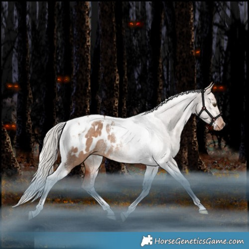 Horse Color:Silver Bay Dun Tobiano Appaloosa Rabicano