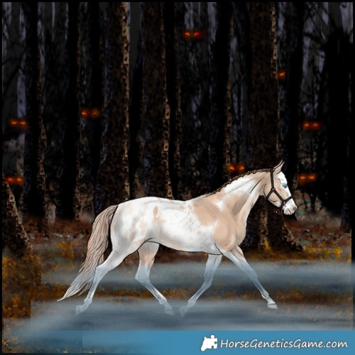 Horse Color:Gold Champagne Dun Splash Tobiano Appaloosa Rabicano 