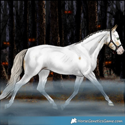 Horse Color:Gray Silver Sable Cream Champagne Dun Splash Tobiano Appaloosa Rabicano 