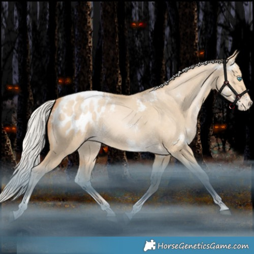 Horse Color:White Spotted Silver Grullo Snowdrop Tobiano Appaloosa Rabicano 